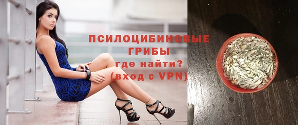 бошки Медногорск