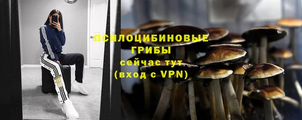 дмт Мегион