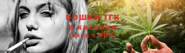 дмт Мегион