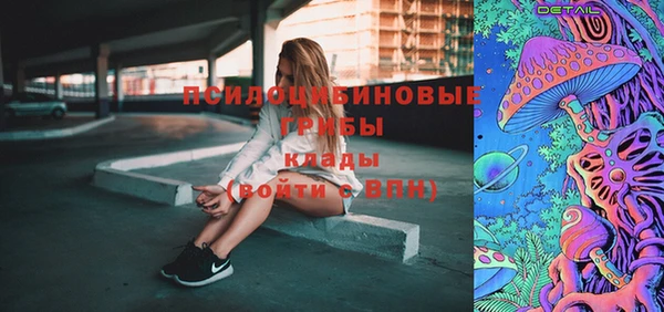 дмт Мегион