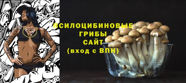 бошки Медногорск