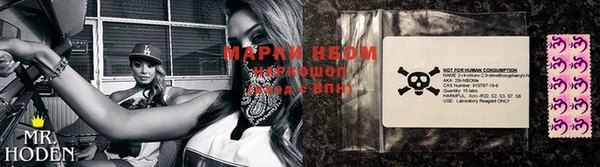 дмт Мегион