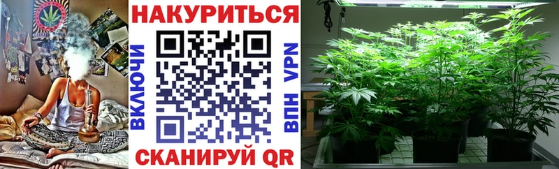 Купить  Краснодар  МАРИХУАНА гибрид 